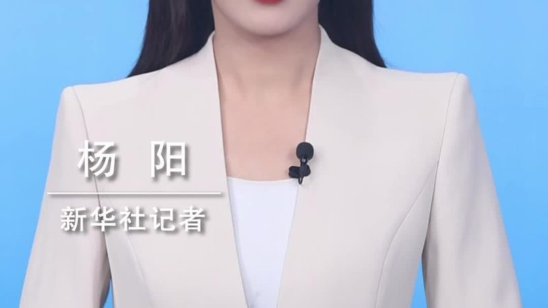 大数据分析算法公司排名